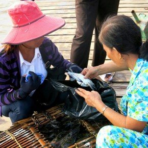 Explorons le Crab Market...