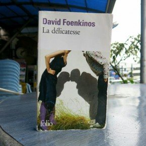 La Délicatesse - de David Foenkinos