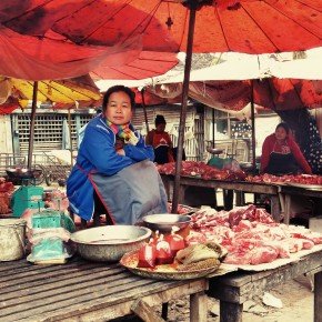 Delicieux marchés