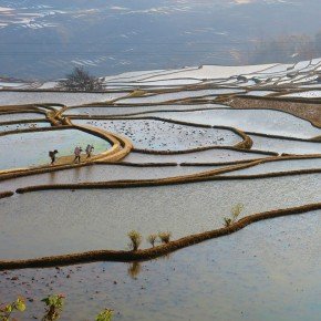 Les pieds dans l'eau à Yuanyang